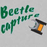 Beetle capture